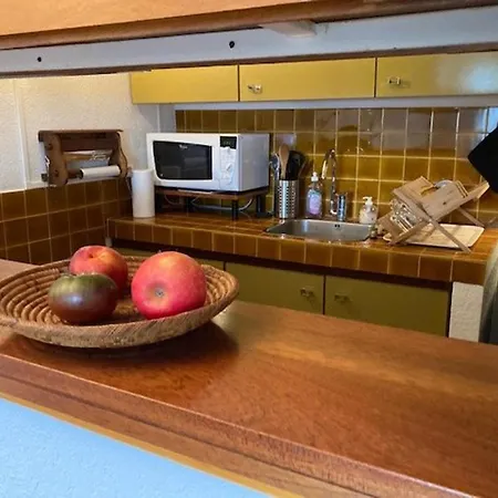 Appartement Climatisé Et Lumineux Au Centre Du Lavandou Avec Parking - Fr-1-308-193