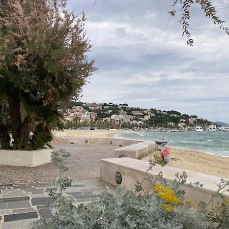 Climatisé Et Lumineux Au Centre Du Lavandou Avec Parking - Fr-1-308-193 Appartement *