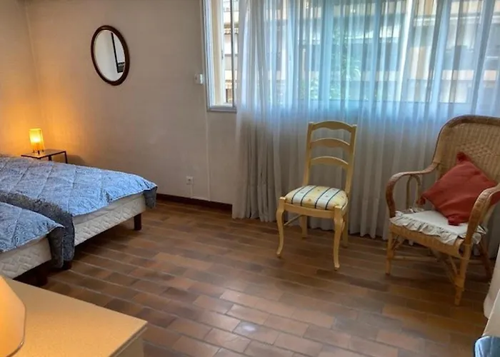 Climatise Centre-ville Avec Parking Prive - Fr-1-308-193 Apartament