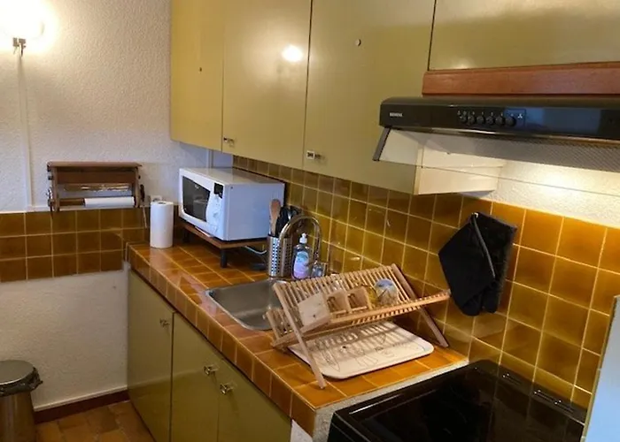 Climatise Centre-ville Avec Parking Prive - Fr-1-308-193 * Le Lavandou